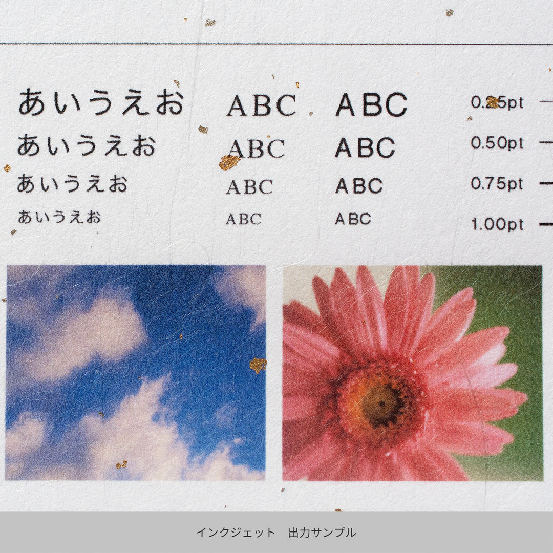 Papier Shinzukushi Or & Argent – Nuage Dragon Blanc (A4) – 10 Feuilles