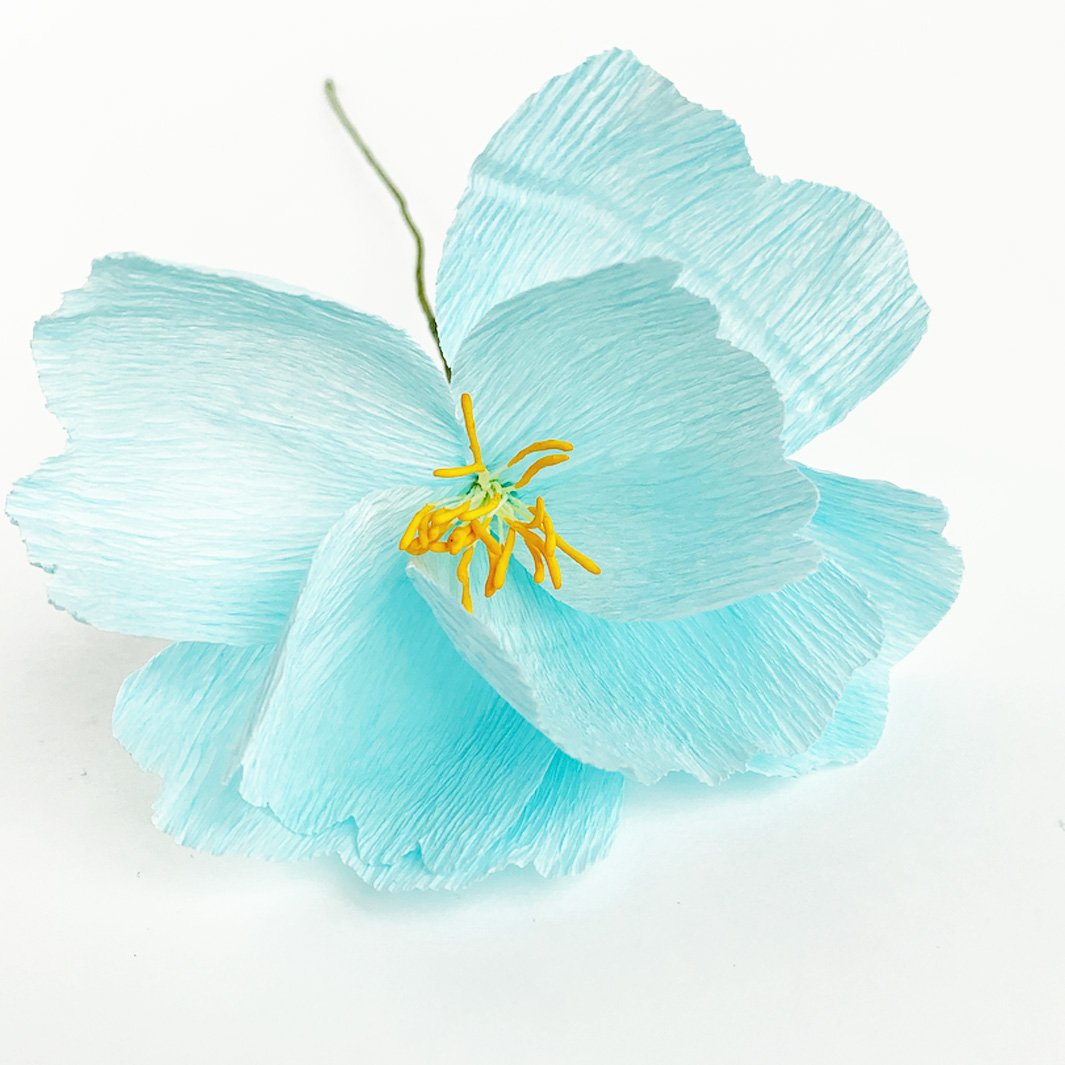 Colle Blanche - Prise Normale, Bouchon Classique - 59 mL