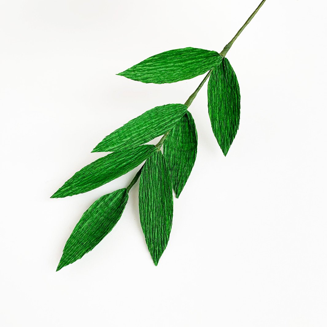 Colle Blanche - Prise Normale, Bouchon Classique - 59 mL