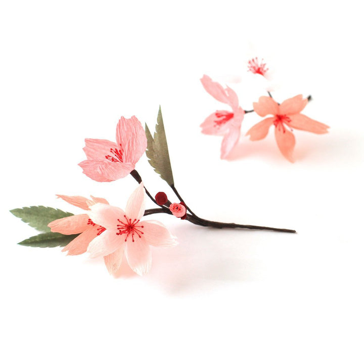 Colle Blanche - Prise Normale, Bouchon Classique - 59 mL