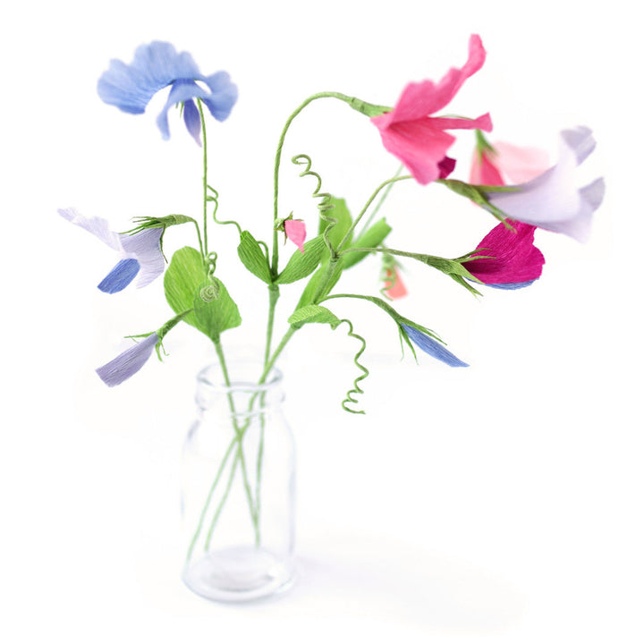 Atelier Pois de Senteur - Samedi 4 Juillet 2026 - 14h