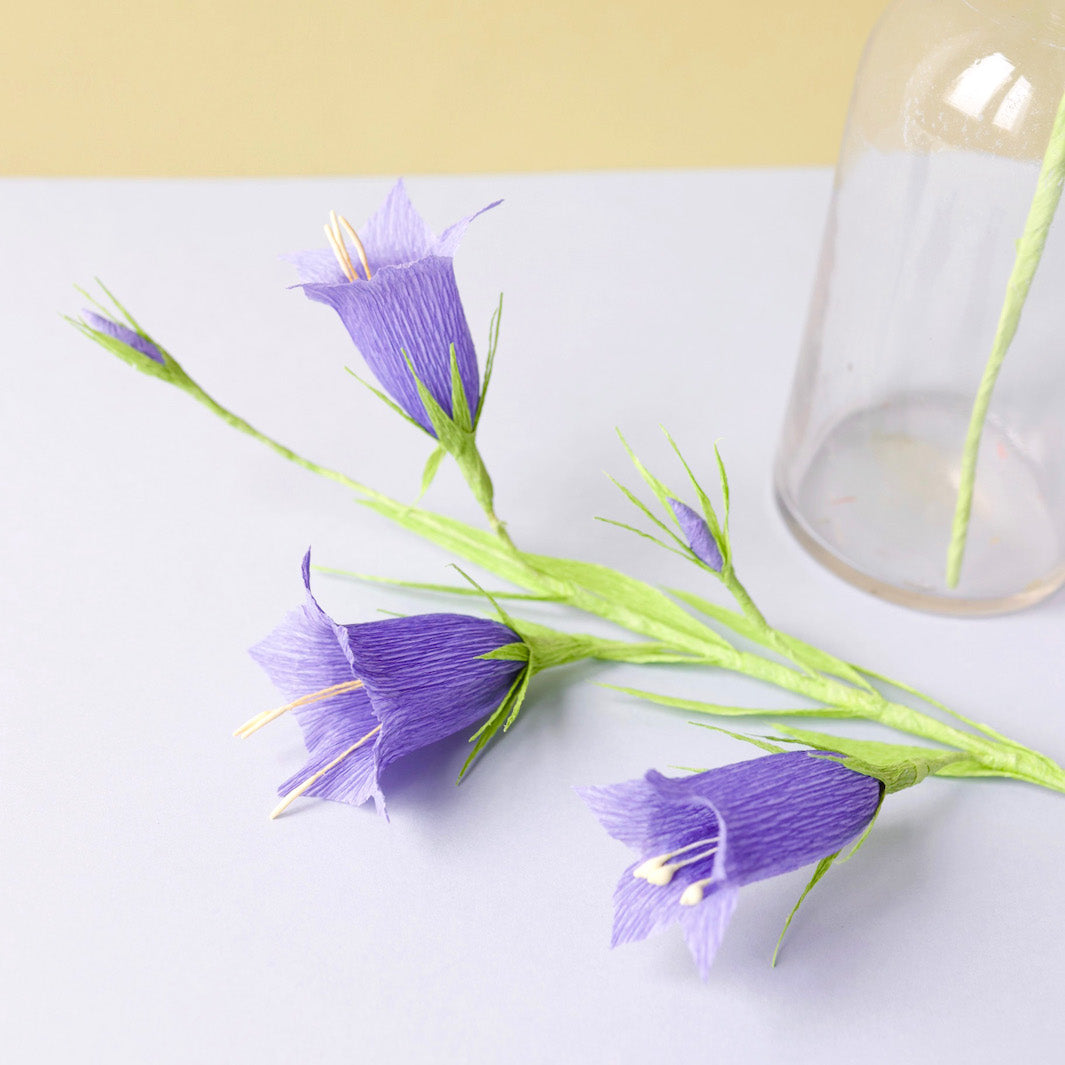 photo d'ambiance de l'atelier campanule avec une branche violette sur fonds jaune et gris