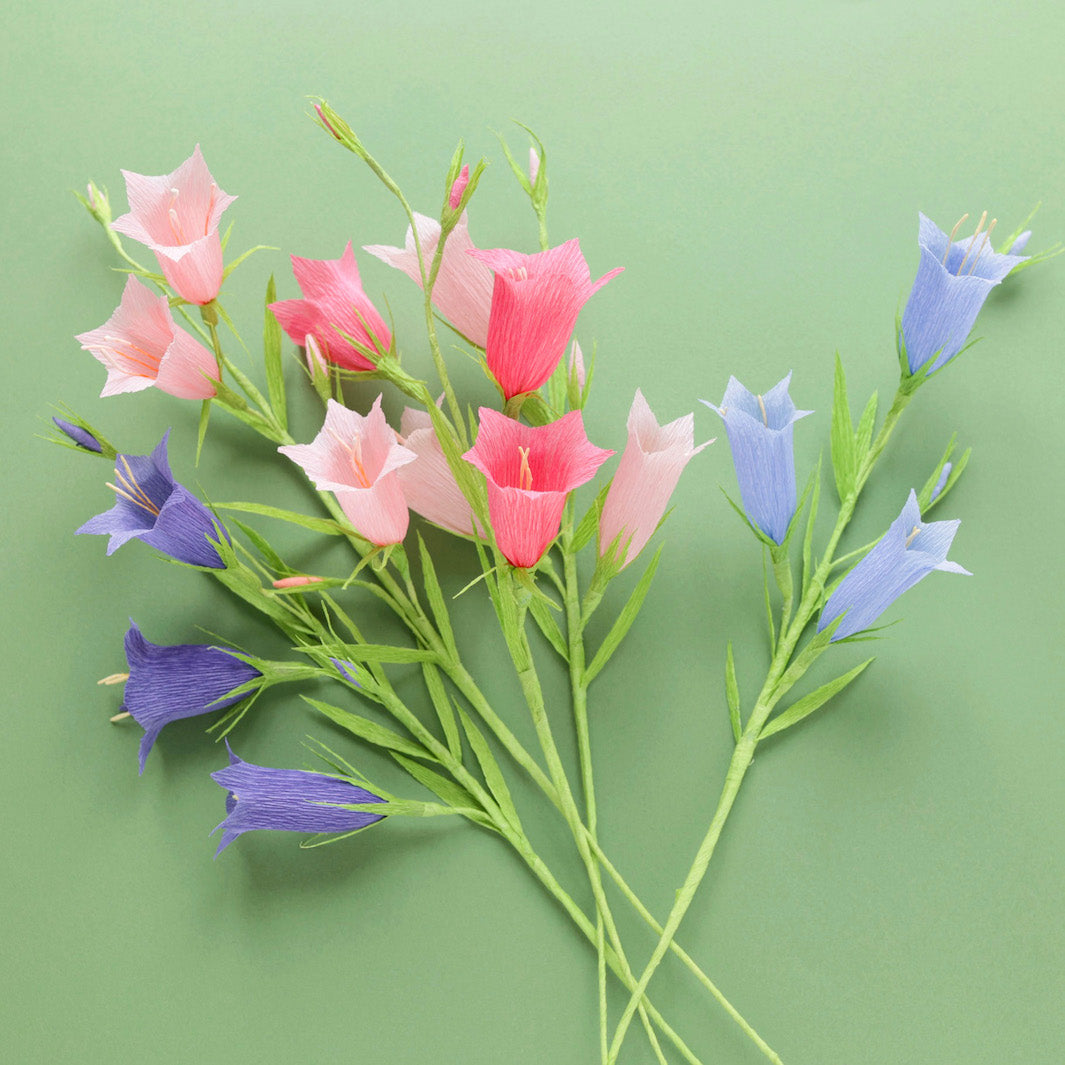 photo d'ambiance de l'atelier campanule avec trois branches tricolores sur fond vert