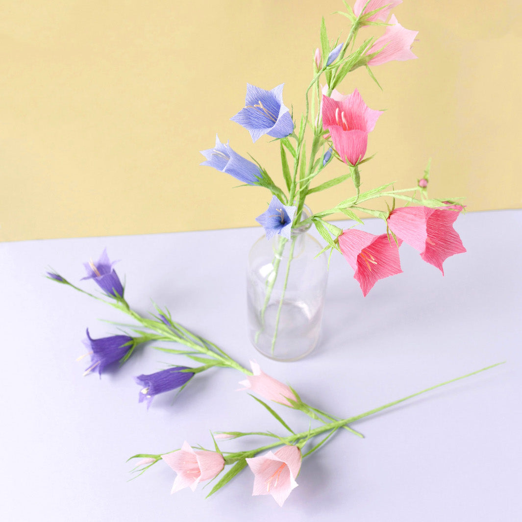photo d'ambiance de l'atelier campanule avec trois branches tricolores sur fonds jaune et gris
