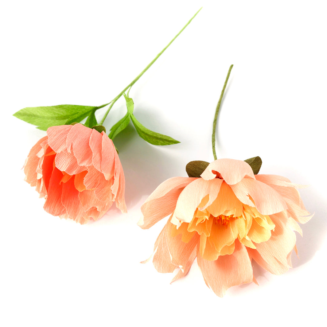 Atelier Pivoine - Samedi 12 Septembre 2026 - 10h30