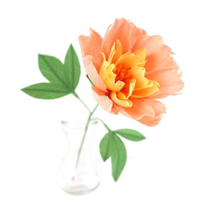 Atelier Pivoine - Samedi 12 Septembre 2026 - 10h30
