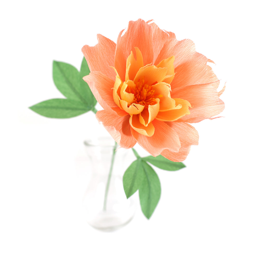 Atelier Pivoine - Samedi 12 Septembre 2026 - 10h30