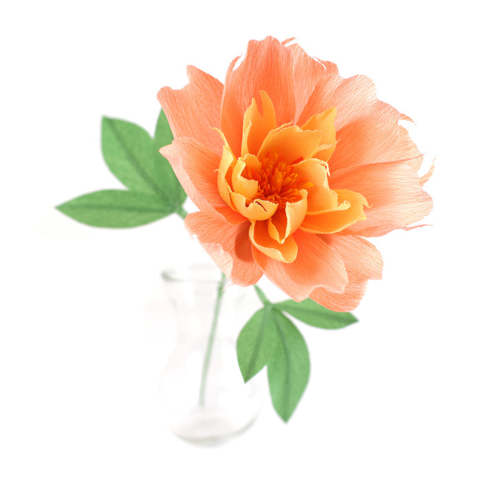Atelier Pivoine - Samedi 12 Septembre 2026 - 10h30