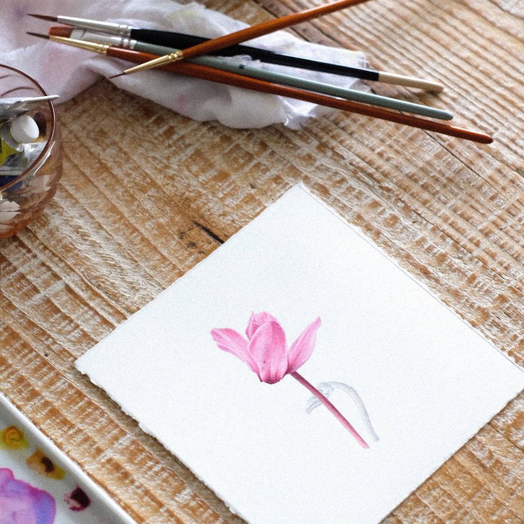 photo d'ambiance de biais de l'atelier d'aquarelle botanique cyclamen d'anne-solange tardy