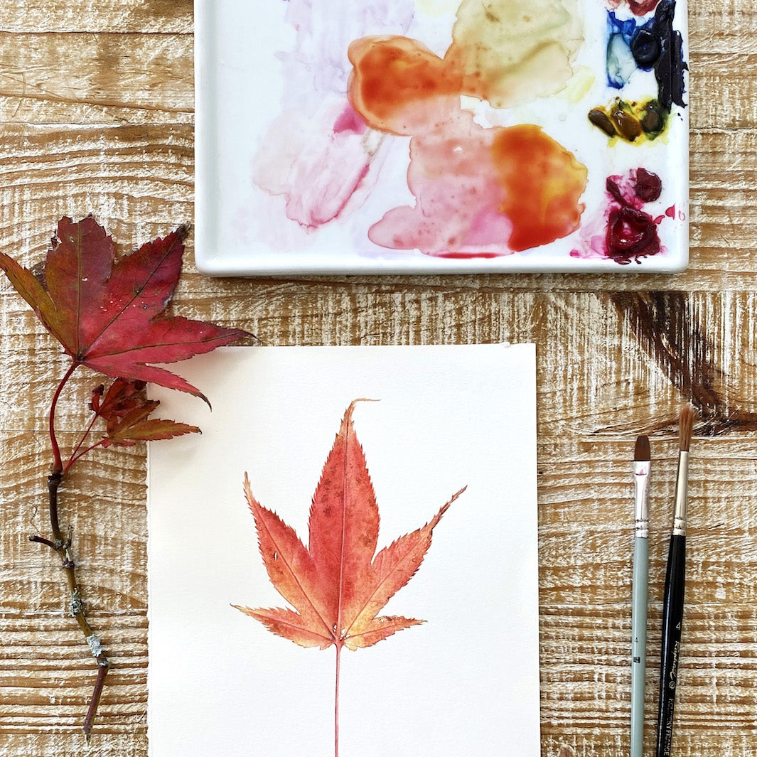 photo d'ambiance de face de l'atelier d'aquarelle botanique feuille d'anne-solange tardy