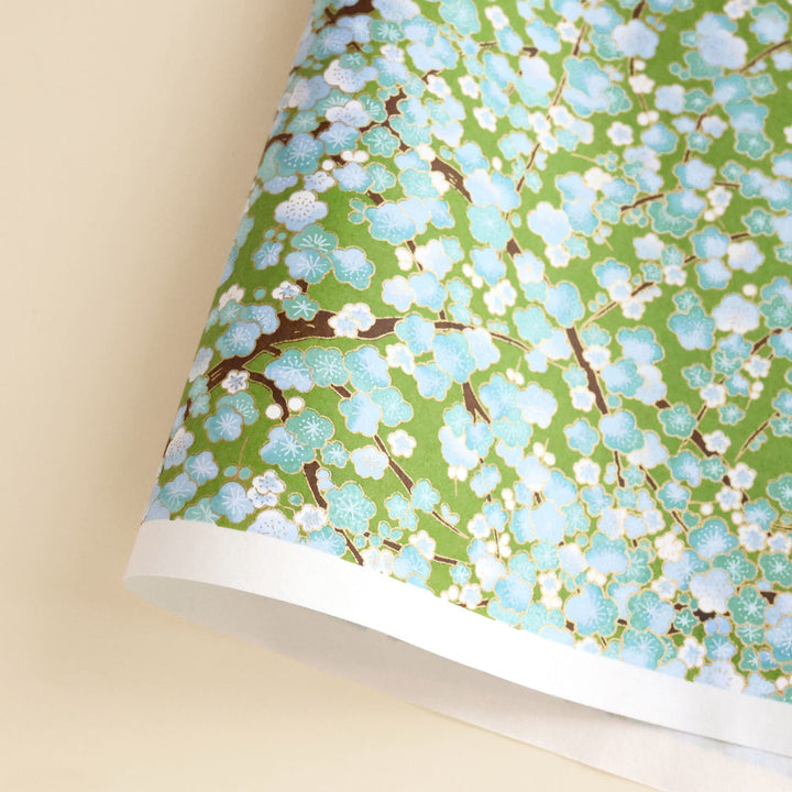 photo packshot d'une courbe de papier japonais yuzen chiyogami aux motifs de fleurs de prunier dans les tons vert moyen, bleu ciel et moyen adeline klam (M449)