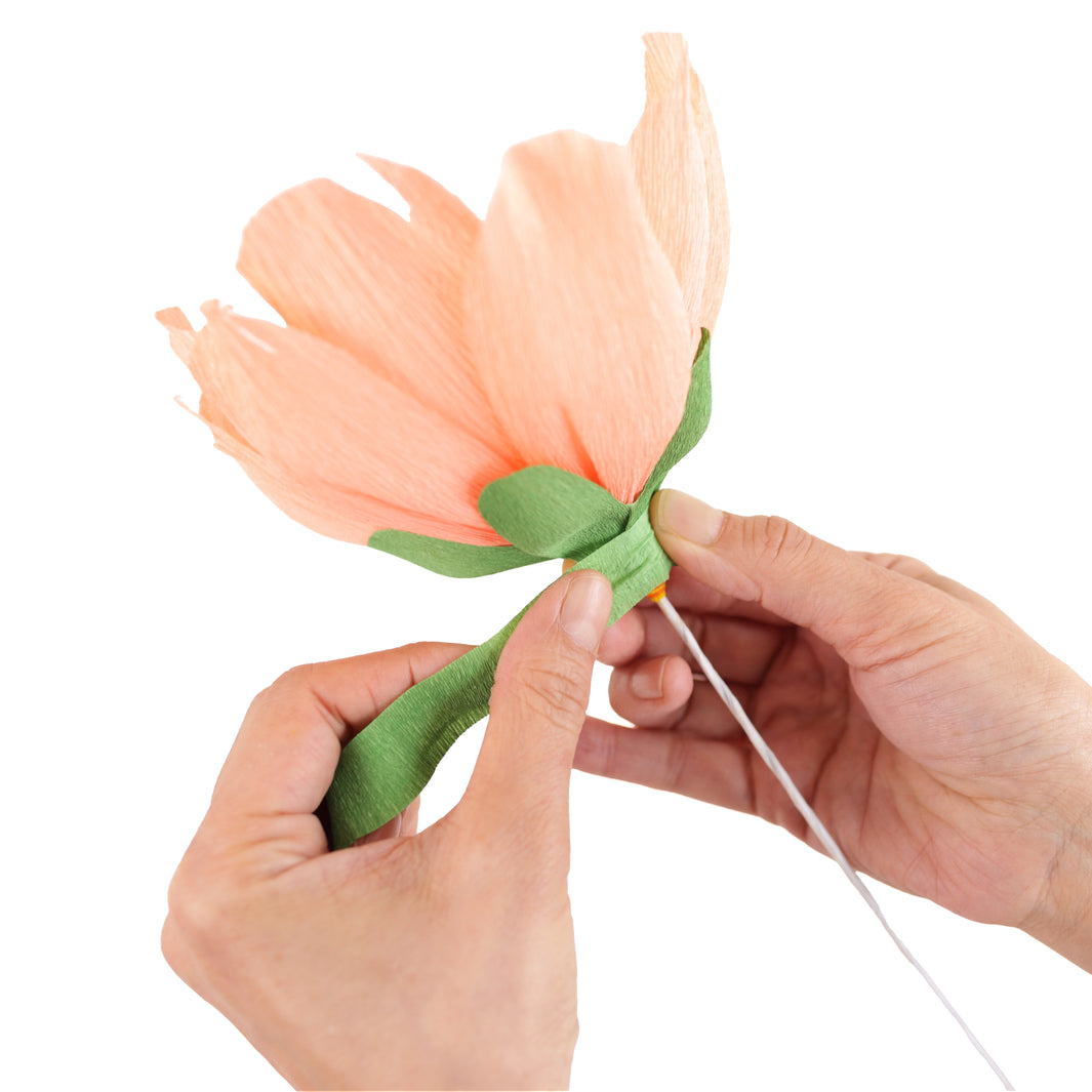 photo packshot d'un exemple d'utilisation des tiges épaisses pour la fabrication de pivoines en crépon adeline klam