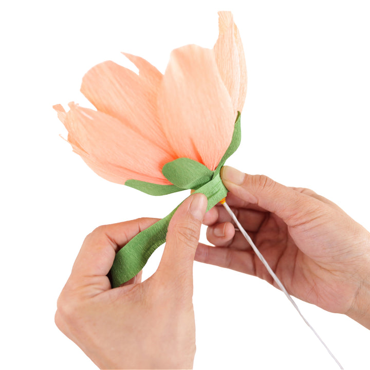 photo packshot d'un exemple d'utilisation des tiges épaisses pour la fabrication de pivoines en papier crépon adeline klam