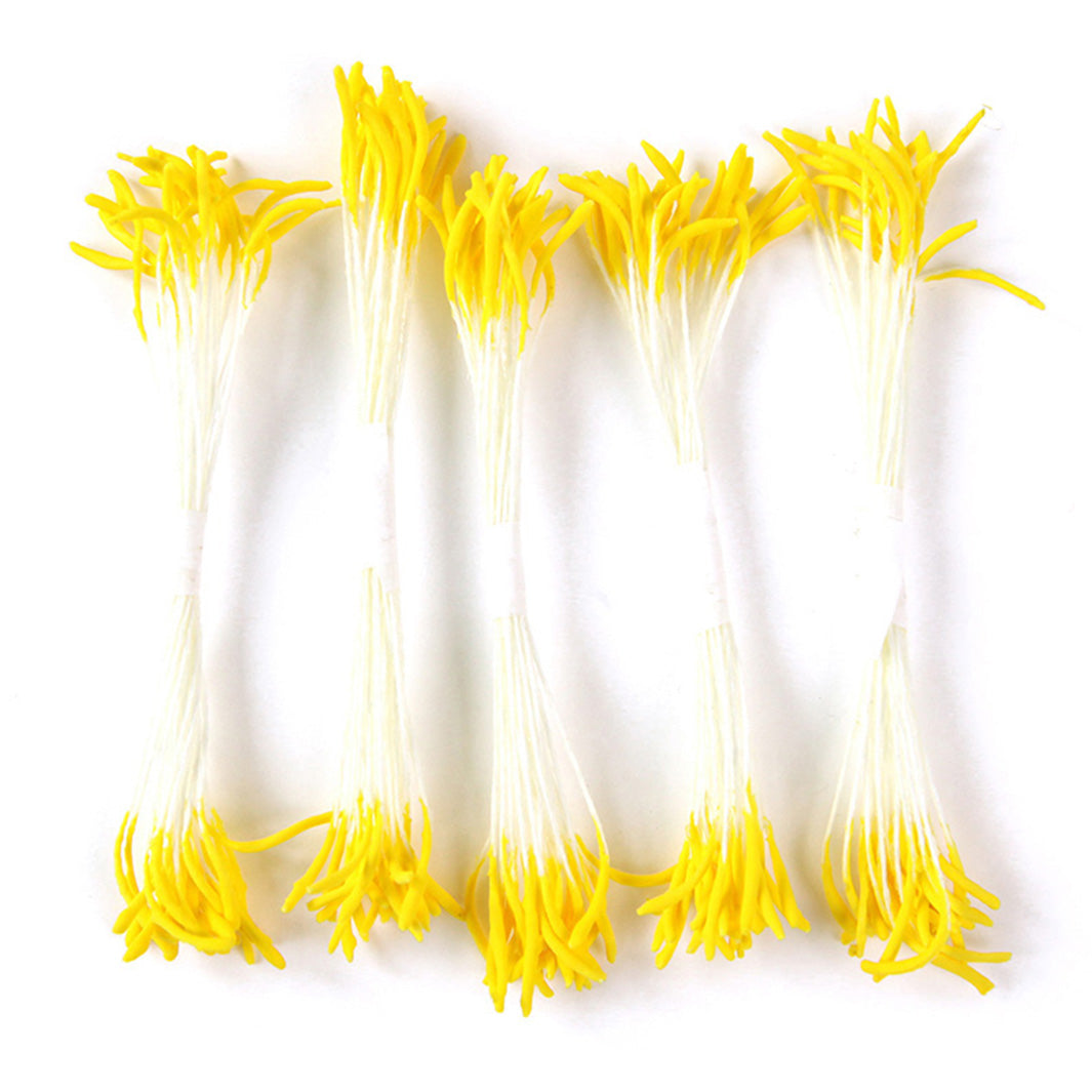 photo packshot de face du lot de 5 grands fagots de pistils de fleurs jaunes et blancs (158)