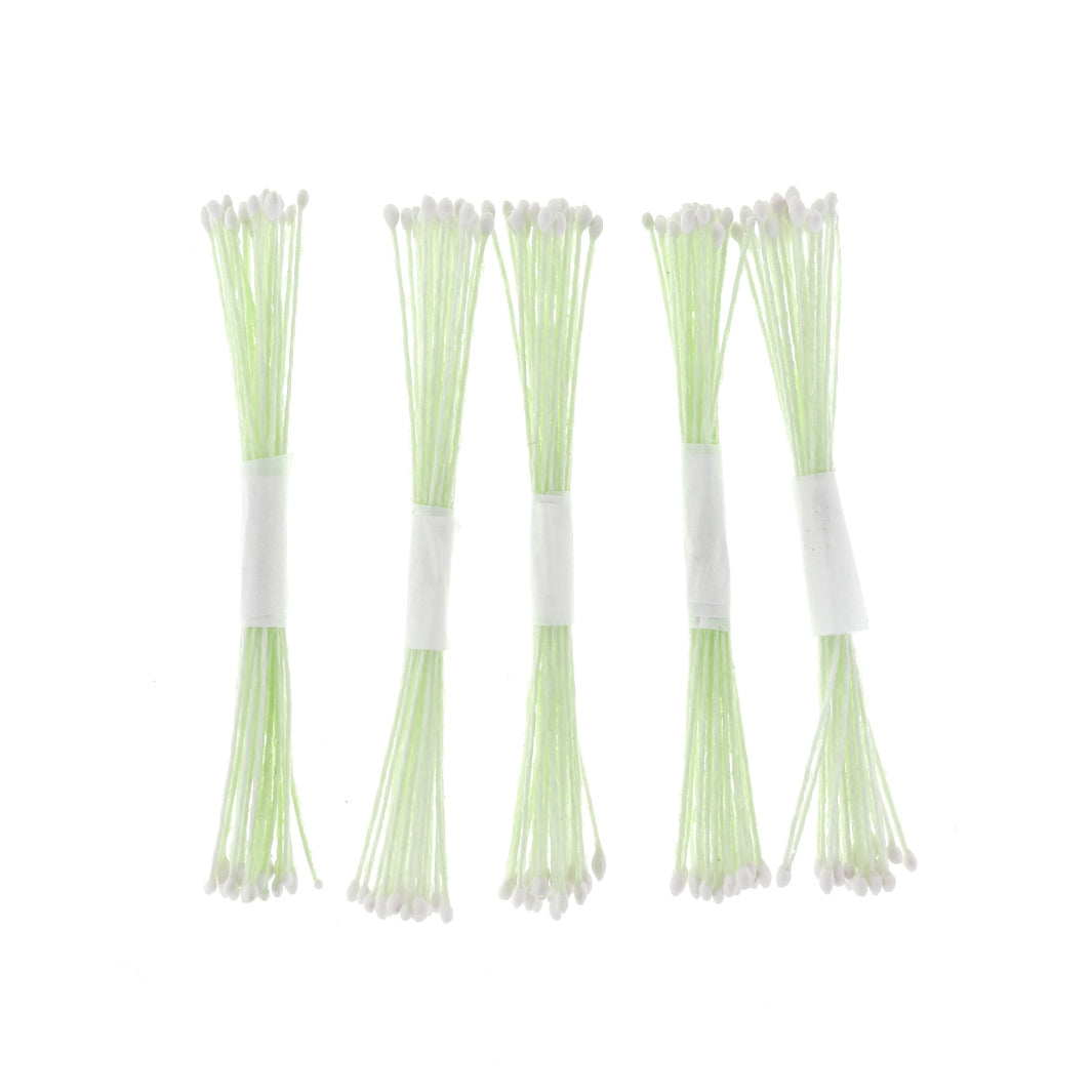 photo packshot de face du lot de 5 petits fagots de pistils de fleurs vert pâle et blancs (1083)