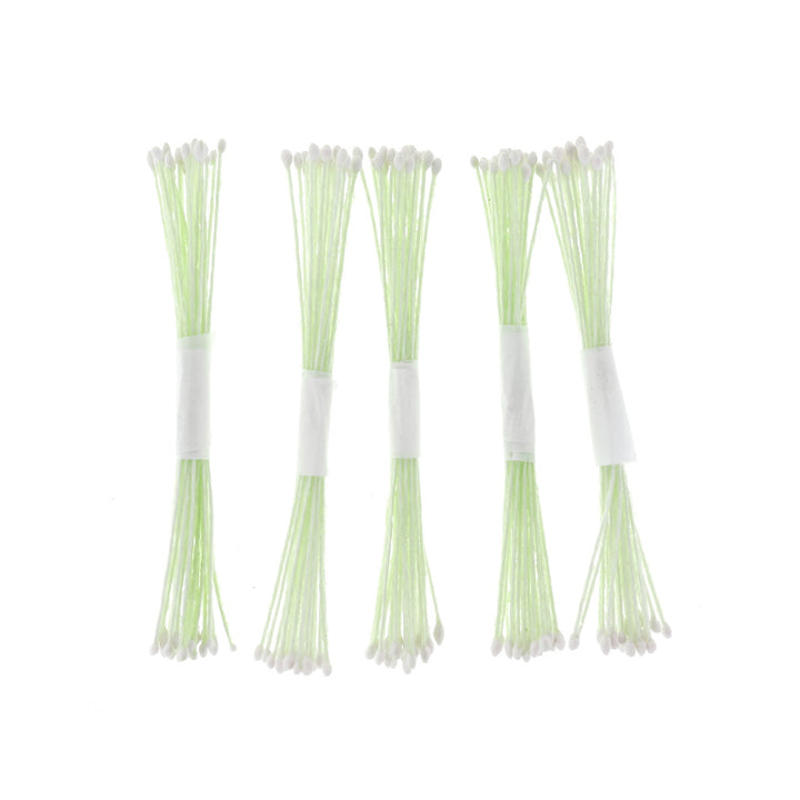 photo packshot de face du lot de 5 petits fagots de pistils de fleurs vert pâle et blancs (1083)