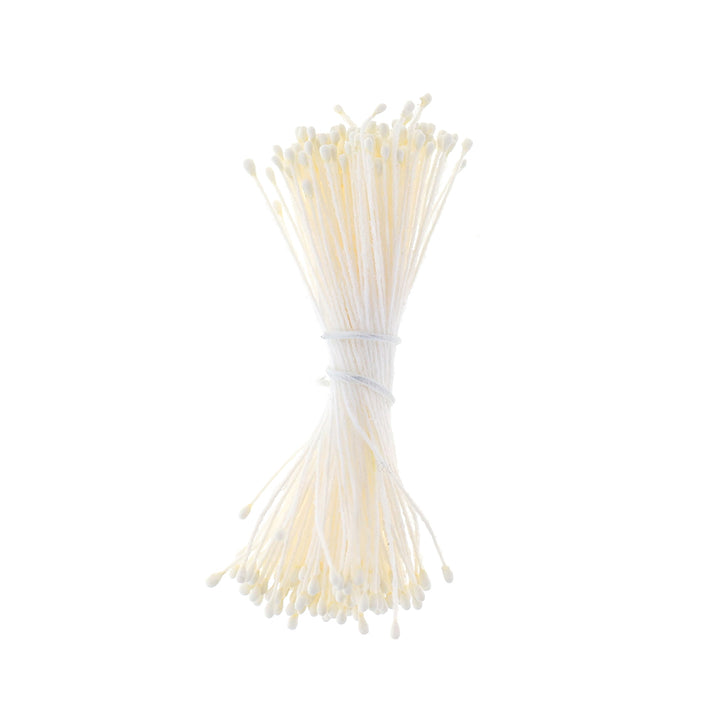 photo packshot du fagot de pistils de fleurs crème jaune pâle et blancs 1057