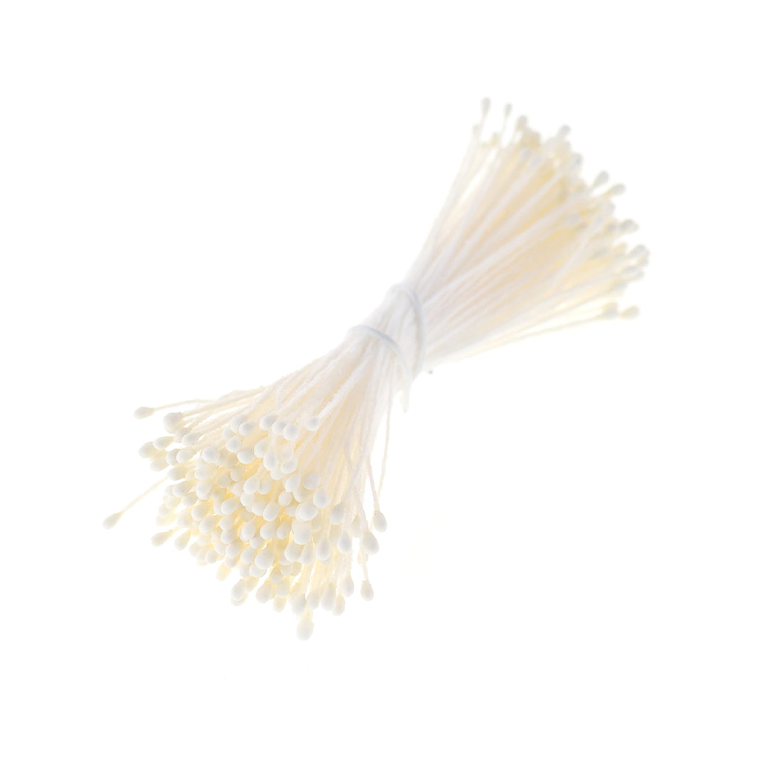 photo packshot du fagot de pistils de fleurs crème jaune pâle et blancs 1057