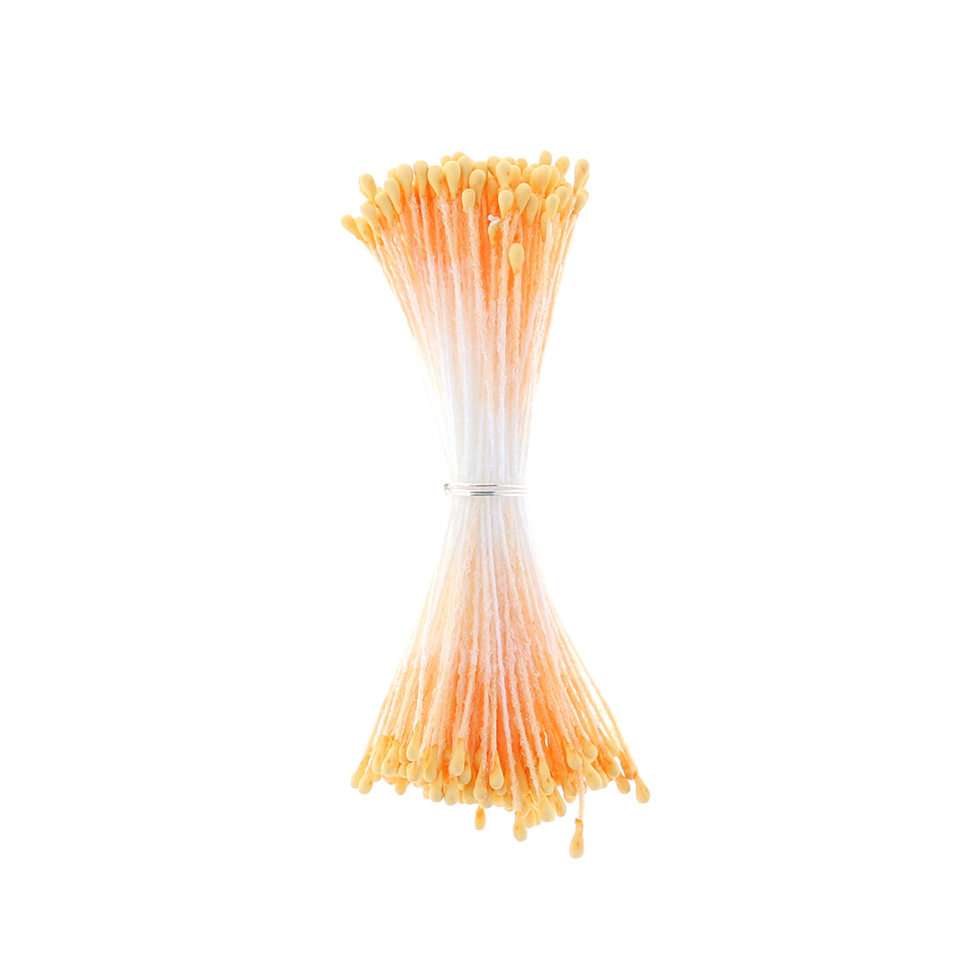 photo packshot du fagot de pistils de fleurs jaune orange et blancs (1074)