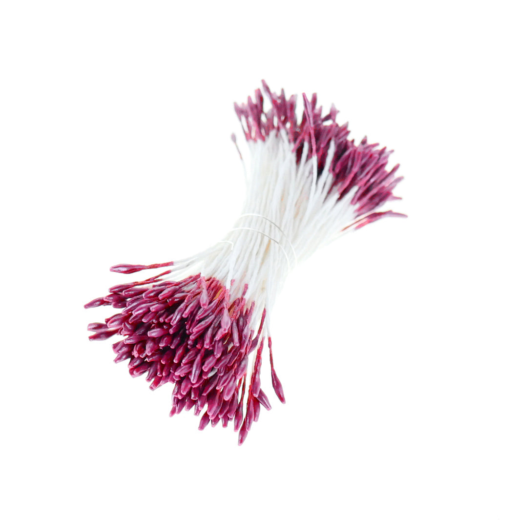 photo packshot du fagot de pistils de fleurs lie de vin métallisé et blancs (1062)