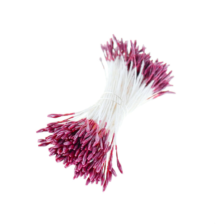 photo packshot du fagot de pistils de fleurs lie de vin métallisé et blancs (1062)