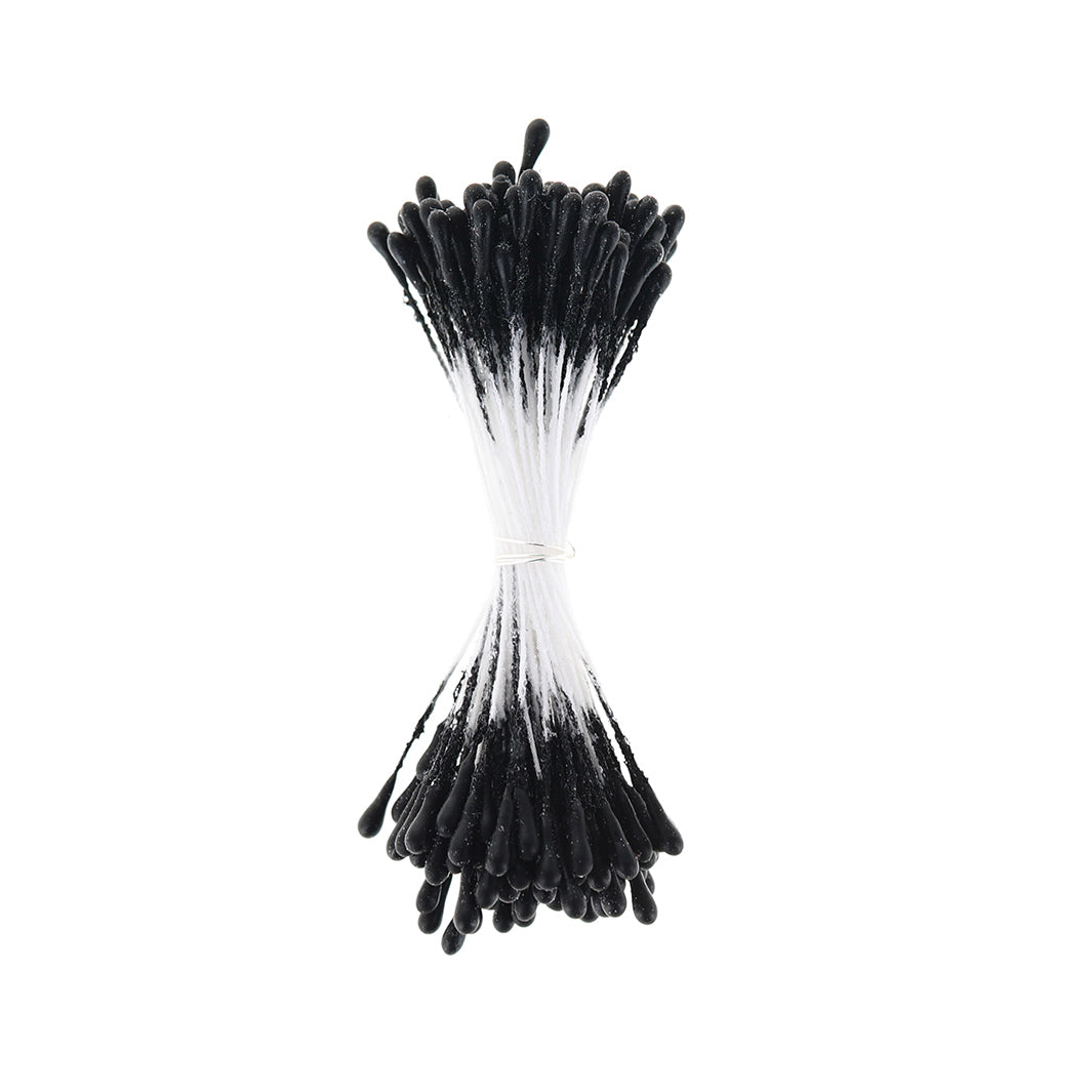 photo packshot du fagot de pistils de fleurs noirs et blancs (1072)
