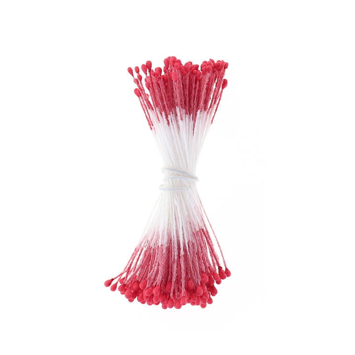 photo packshot du fagot de pistils de fleurs rouge rose et blancs 1059