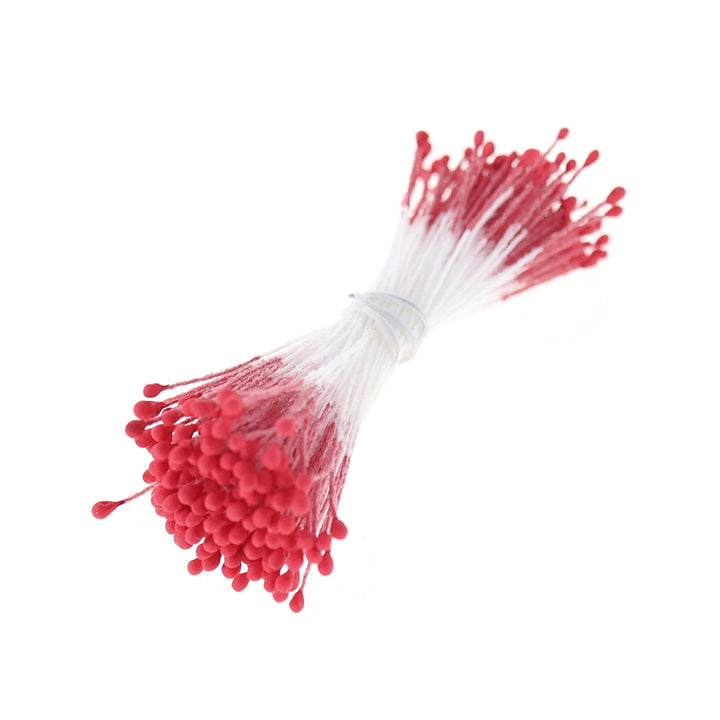 photo packshot du fagot de pistils de fleurs rouge rose et blancs 1059