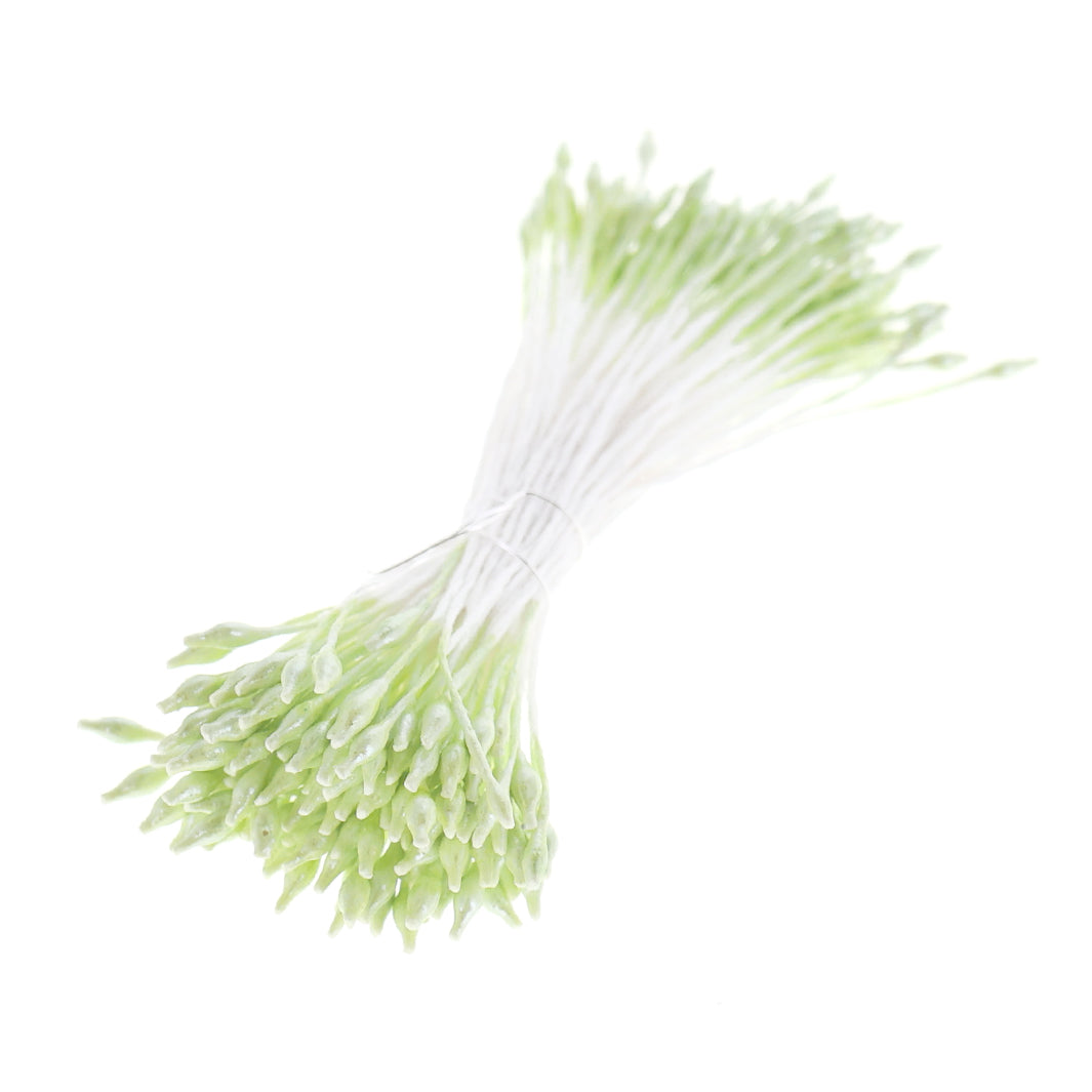 photo packshot du fagot de pistils de fleurs vert amande et blancs (1068)