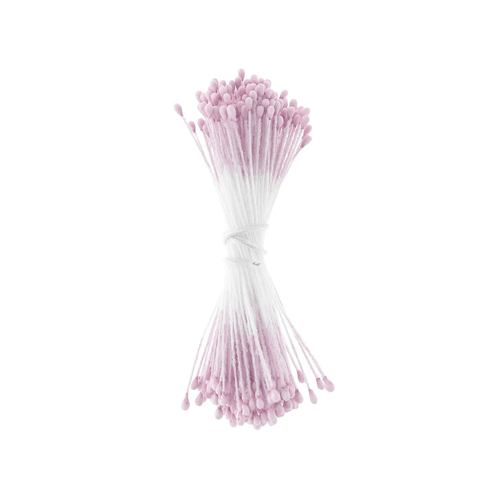 photo packshot du fagot de pistils de fleurs rose lilas et blancs 1071