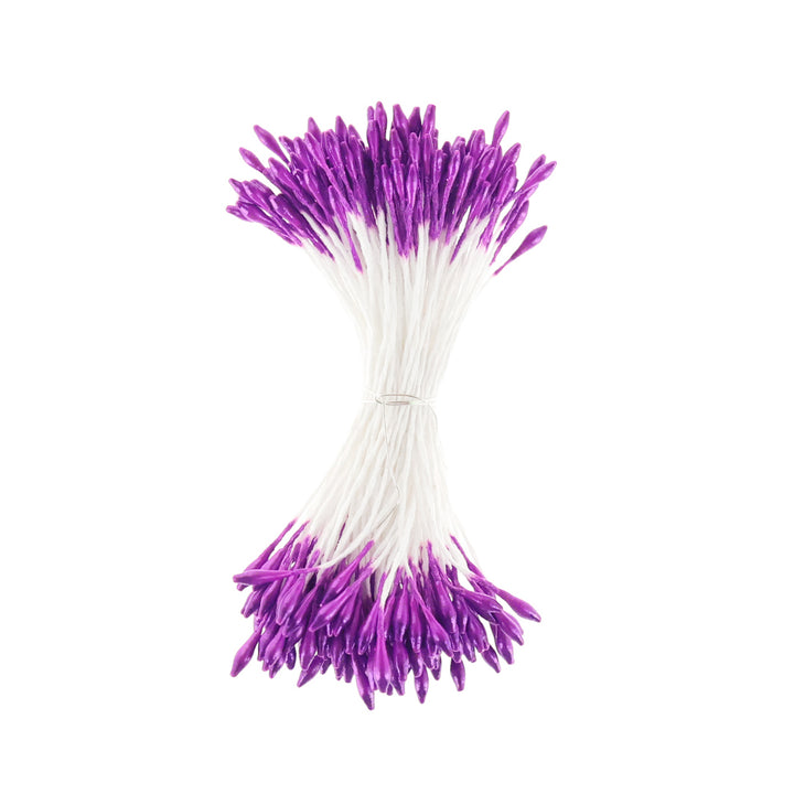 photo packshot du fagot de pistils de fleurs violet métallisé et blancs 1065