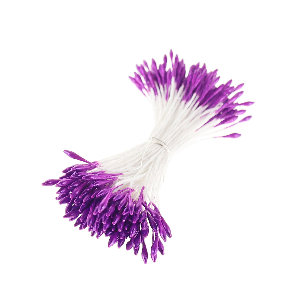 photo packshot du fagot de pistils de fleurs violet métallisé et blancs 1065
