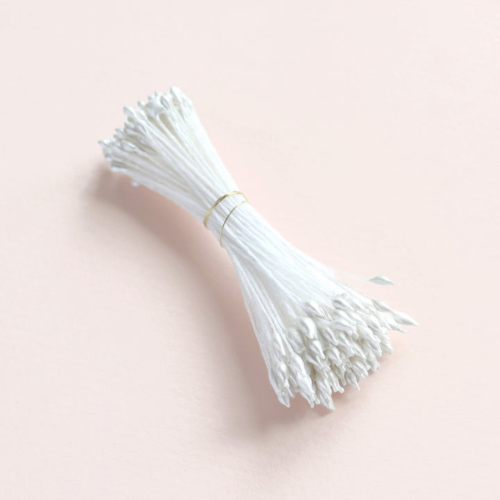 photo packshot sur fond rose de biais du fagot de pistils de fleurs blanc métallisés (1075)