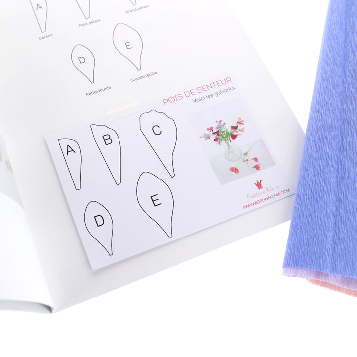 photo packshot des gabarits du kit bouquet pois de senteur en crépon dans les tons rose clair, rose fuschia, mauve, bleu et vert adeline klam