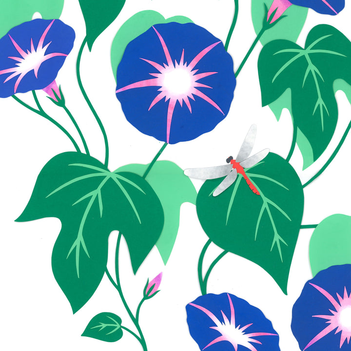 photo packshot d'ipomées découpées bleues sur fond blanc de l'atelier de papier découpée « ipomée » avec sande thommen (octobre 2026)
