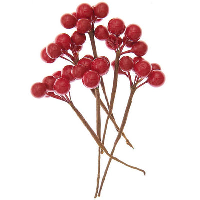 photo packshot du lot de 6 grappes de baies rouge rico design