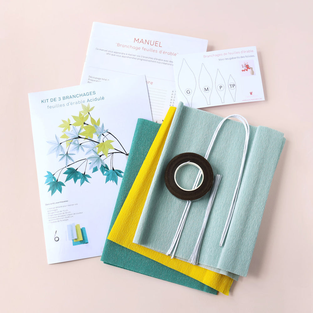 photo packshot du manuel, des gabarits et des fournitures du kit 3 branchages de feuilles d'érable en crépon dans les tons jaune acidulé, bleu gris et bleu canard « acidulé » adeline klam