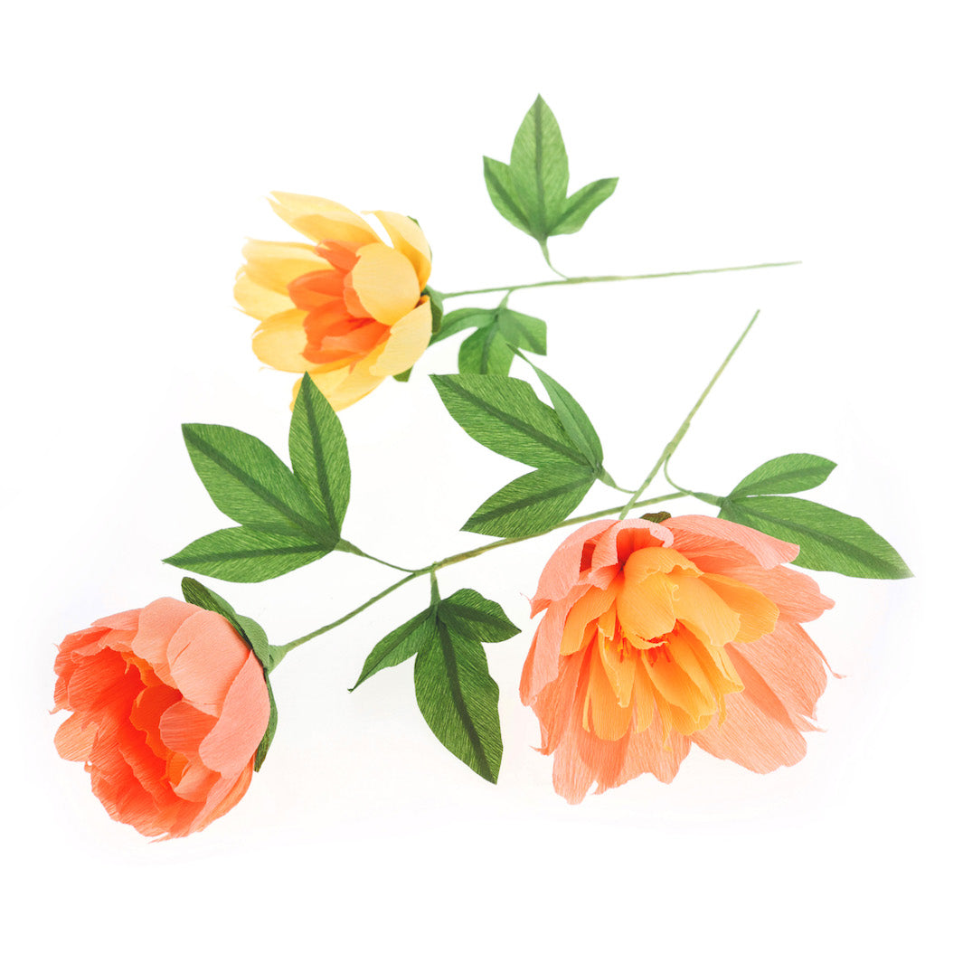 photo packshot des pivoines réalisées posées à plat du kit bouquet de pivoine jaune, orange, saumon et vert adeline klam