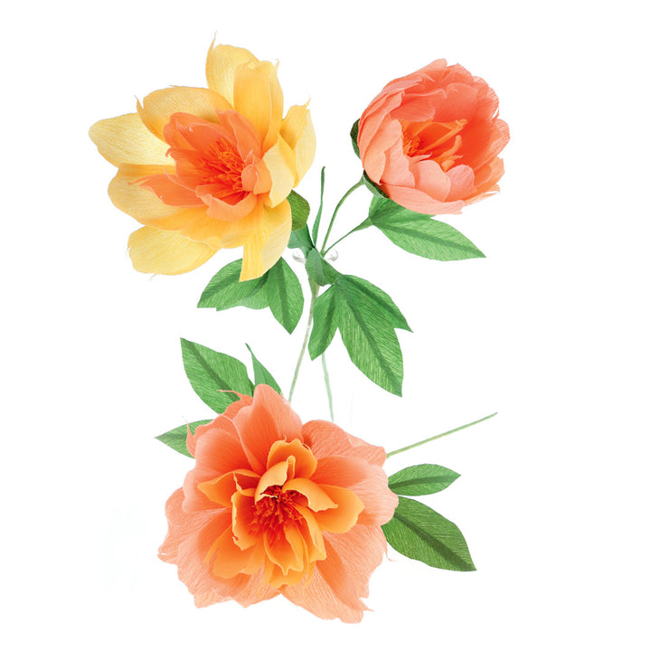 photo packshot des pivoines réalisées dans un vase du kit bouquet de pivoine jaune, orange, saumon et vert adeline klam