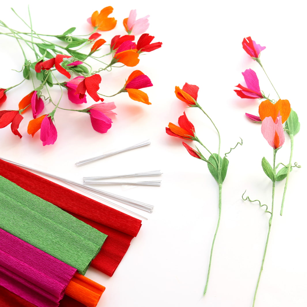 photo packshot des pois de senteur montés posés à plat et du matériel du kit bouquet pois de senteur dans les tons rouge carmin,, prune, roses, orange et vert moyen « passion » adeline klam