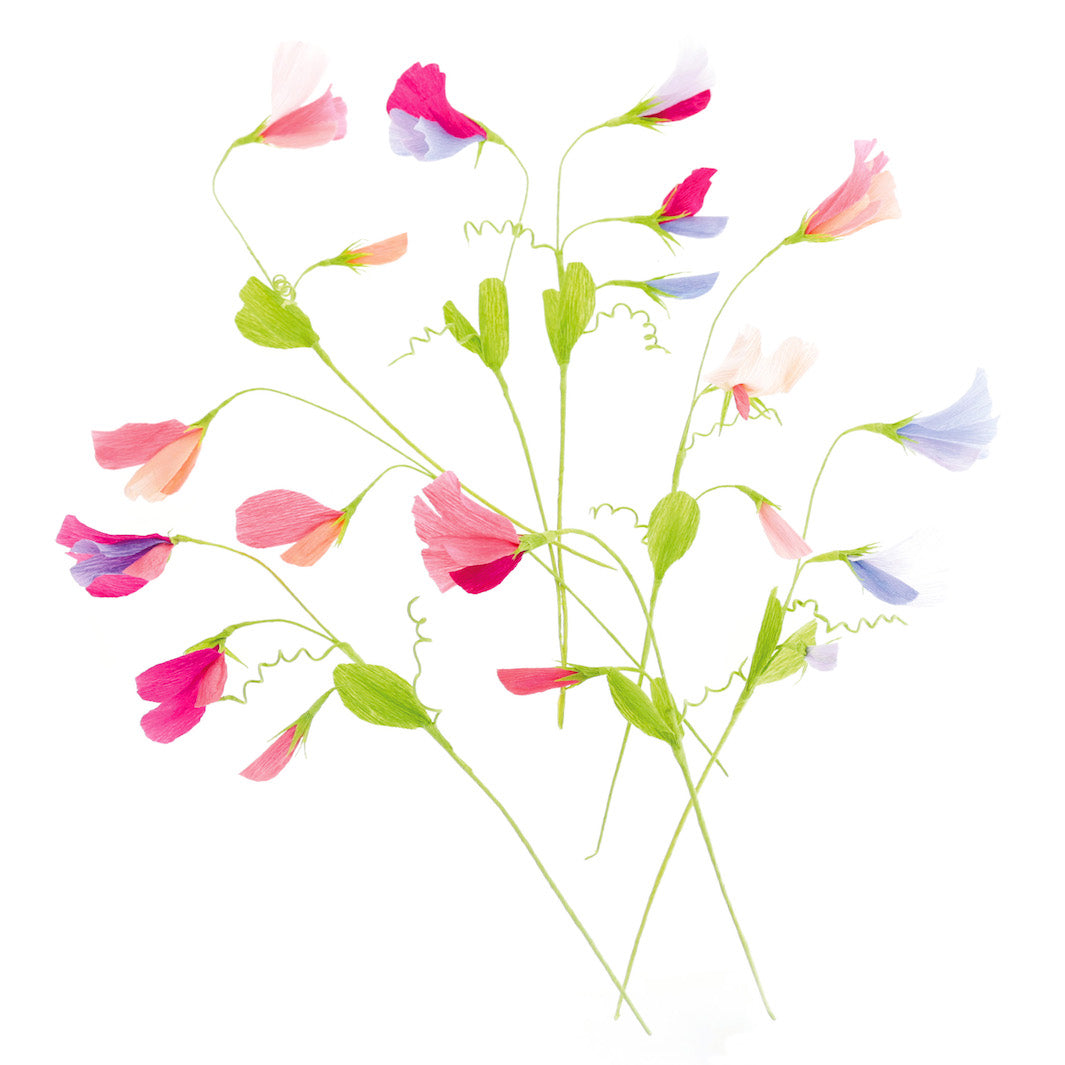 photo packshot des pois de senteur réalisés du kit bouquet pois de senteur en crépon dans les tons rose clair, rose fuschia, mauve, bleu et vert adeline klam