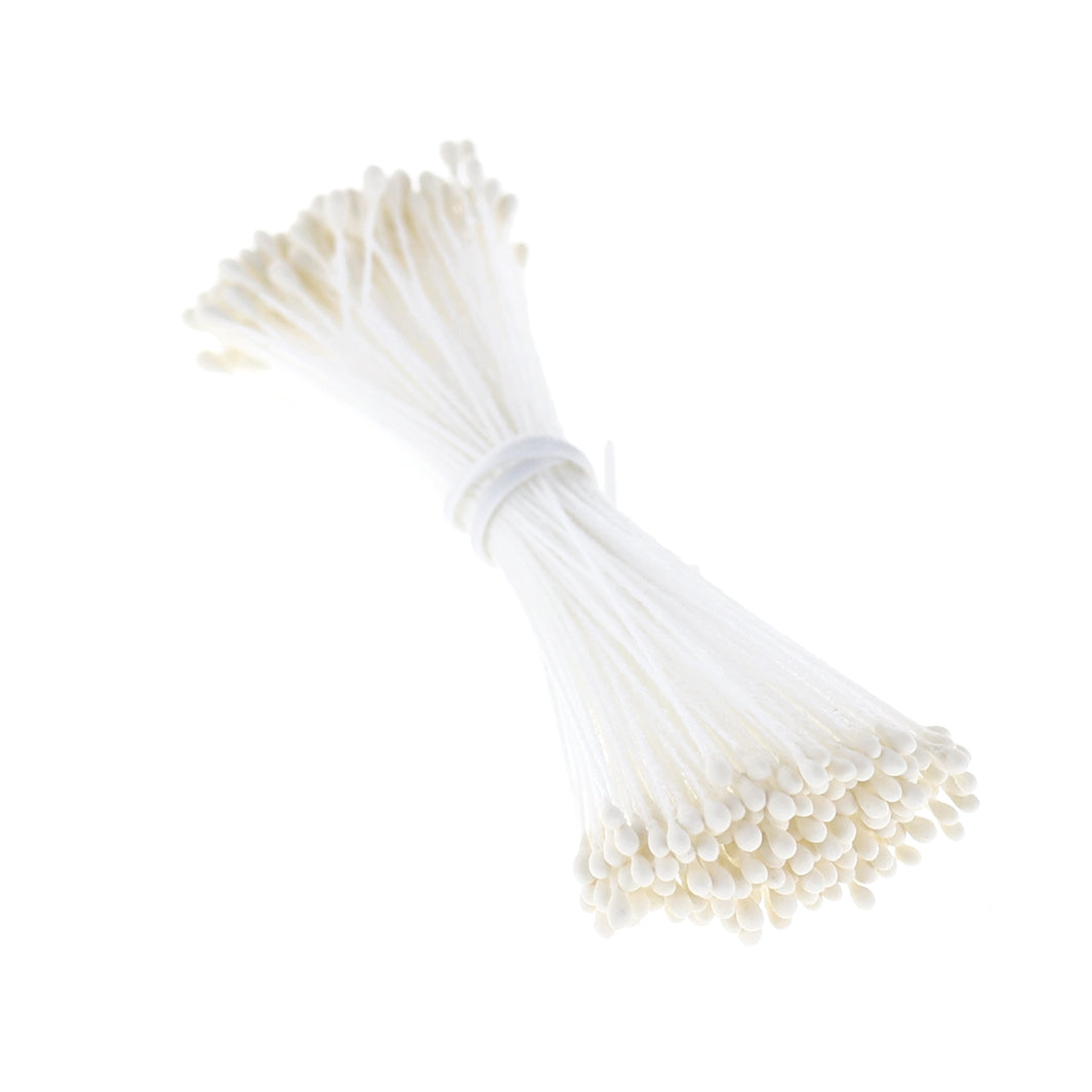 photo packshot vue de biais du fagot de pistils de fleurs beiges (1030)