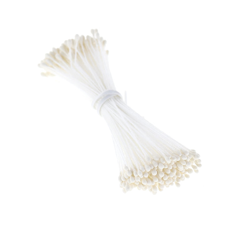 photo packshot vue de biais du fagot de pistils de fleurs beiges (1030)