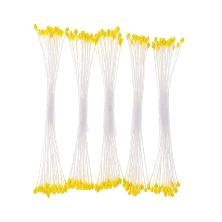 photo packshot vue de face du lot de 5 fagots de pistils fins de fleurs jaunes et blancs (13)