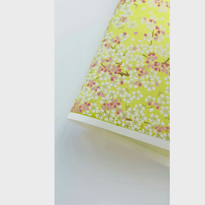 vidéo de démonstration du papier japonais yuzen chiyogami au motif de fleurs de cerisier dans les tons vert acidulé, rose clair et moyen, blancs adeline klam (M1058)