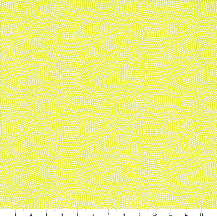 Papier Japonais - Samekomon - Vert Acidulé et Blanc - M858