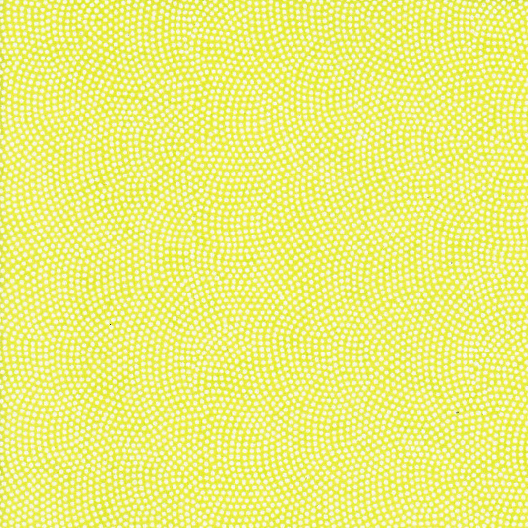 Papier Japonais - Samekomon - Vert Acidulé et Blanc - M858