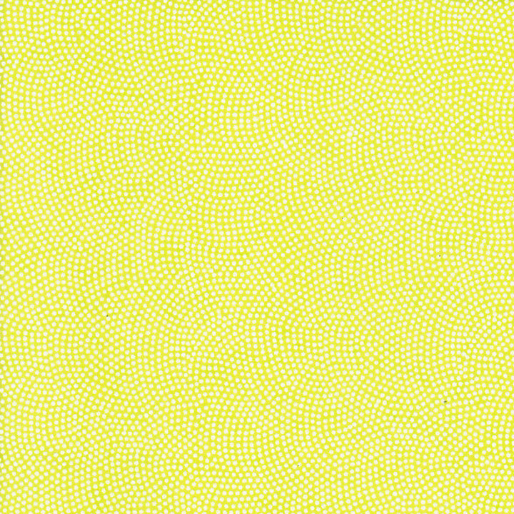 Papier Japonais - Samekomon - Vert Acidulé et Blanc - M858