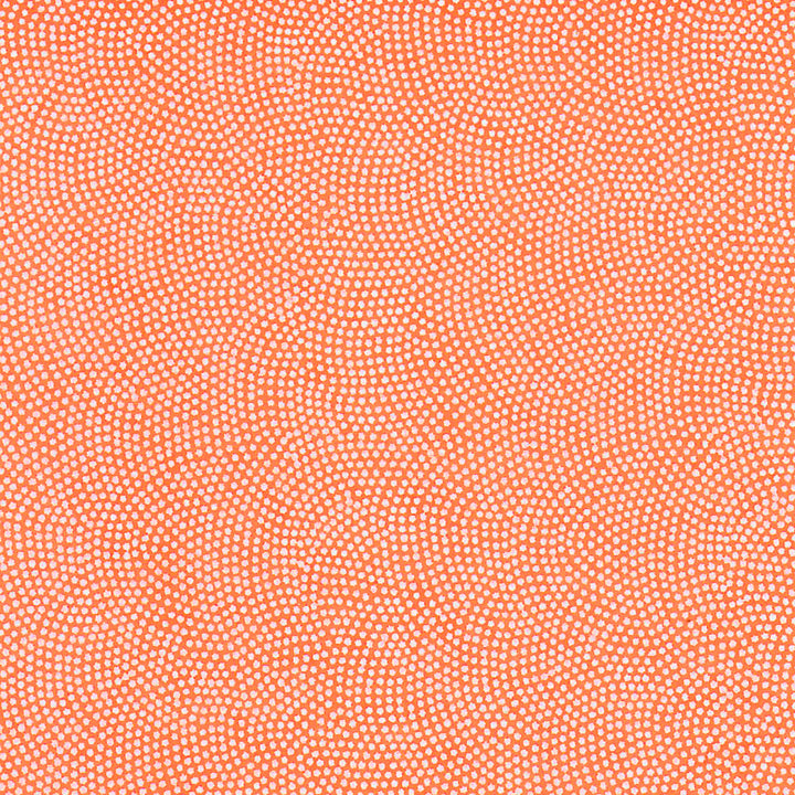 Papier Japonais - Samekomon - Orange Pastel et Blanc - M859