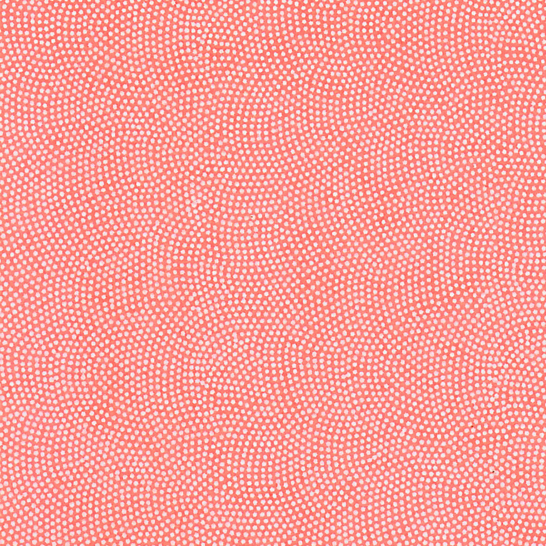Papier Japonais - Samekomon - Rose et Blanc - M860